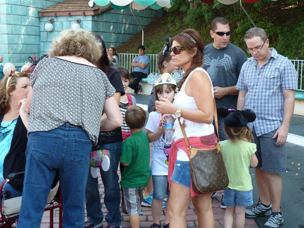 Disneyland Nov 2012 (31)